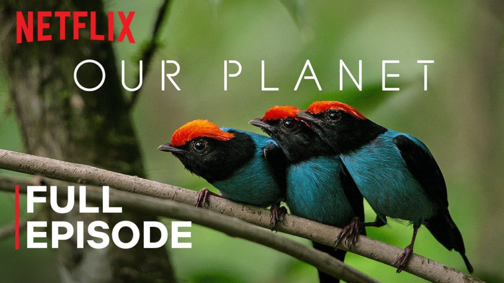 The best documentaries on YouTube - our planet