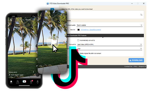 YTD Video Downloader in action